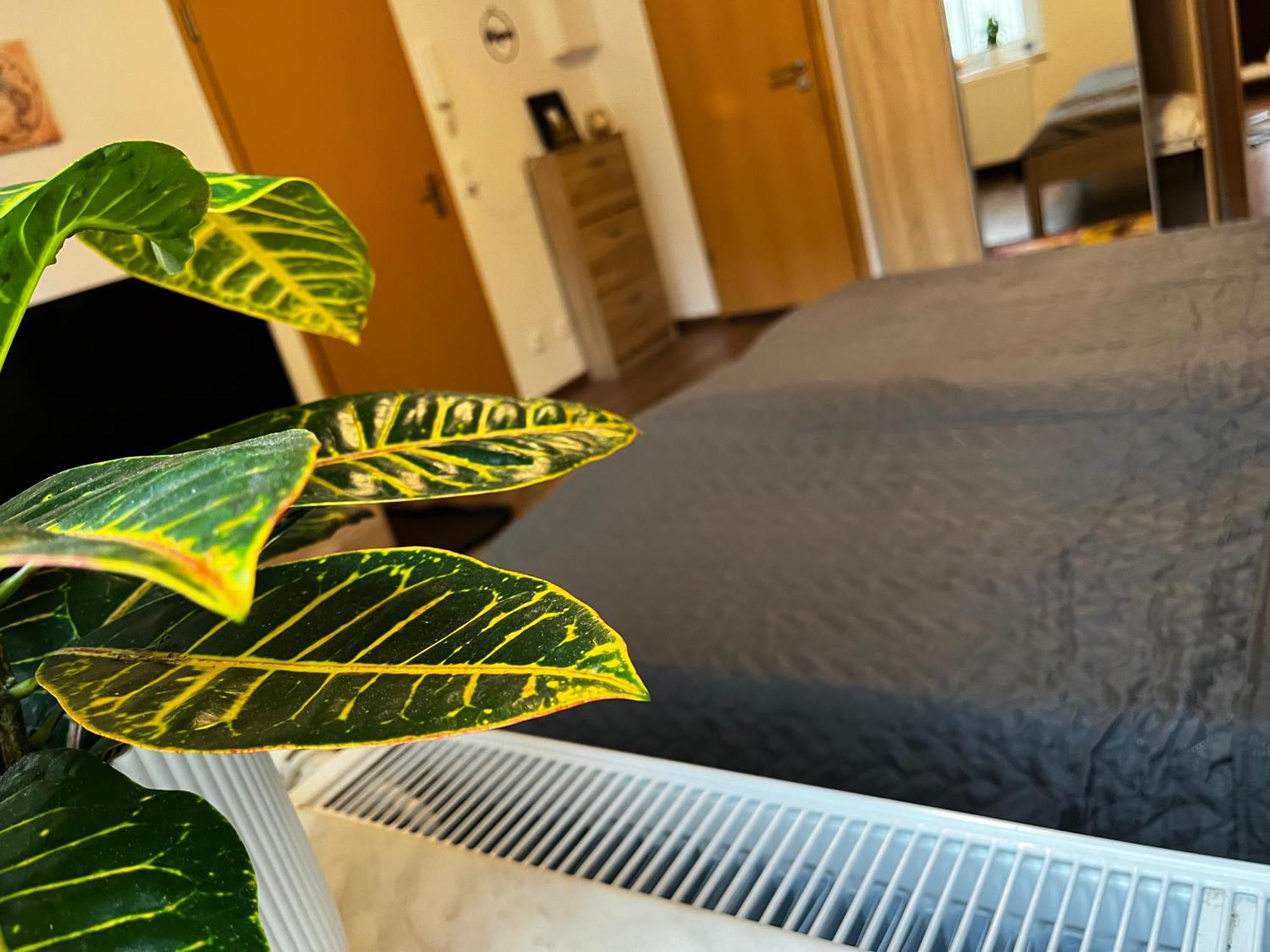 Karli'S Plaetzchen Apartment เกรา ภายนอก รูปภาพ